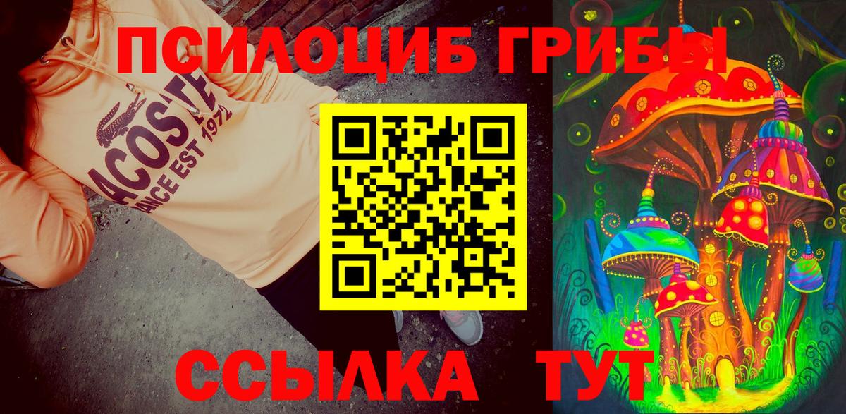 Торжок  Псилоцибиновые грибы Psilocybine cubensis  Вход с VPN 