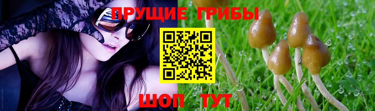 Марихуана  Cocaine  Торжок  Наркошоп  ГАШ  Меф МЯУ МЯУ   Вход с VPN 